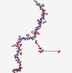 Model of a DNA double helix with colored atoms on a white background