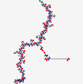 Model of a DNA double helix with colored atoms on a white background