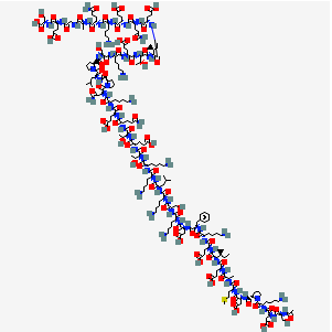 Model of a DNA double helix with colored atoms on a white background